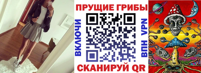 Псилоцибиновые грибы прущие грибы  купить наркоту  Островной 